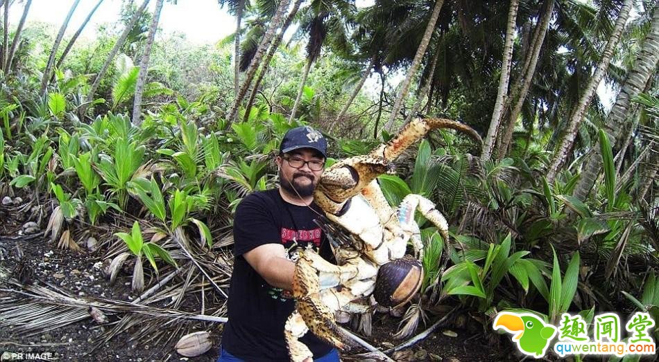 游客怀抱1米“巨蟹”合影 这么大的蟹需要多大的胆！