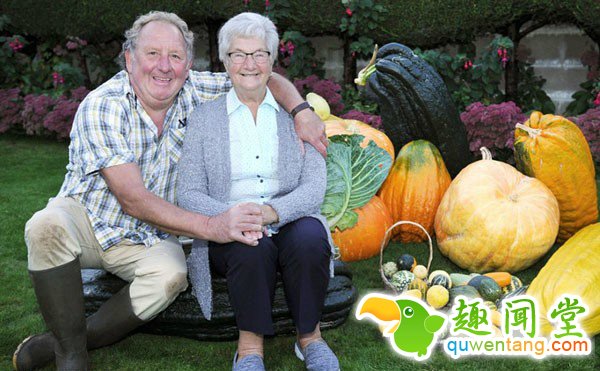 大开眼界！英国老人种出巨型蔬果 自给足养活一家18口