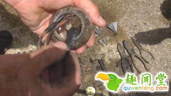 一家三口捡神秘铁箱:撬开吓一跳