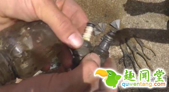 一家三口捡神秘铁箱:撬开吓一跳