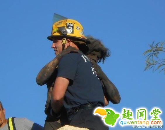 忘带钥匙爬烟囱回家的后果会是怎样?