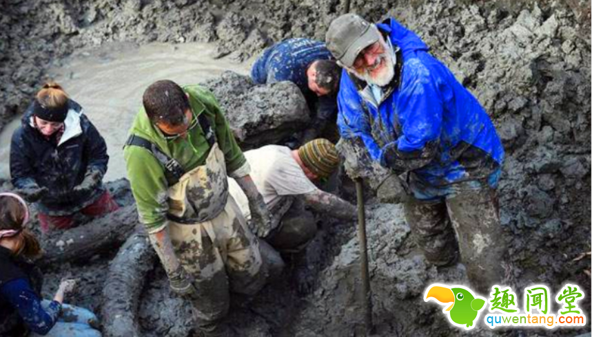 工地挖出大型异物，专家鉴定为冰川时代生物化石