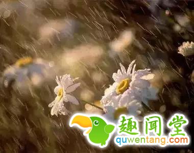 谁曾路过你的心?写的真好!