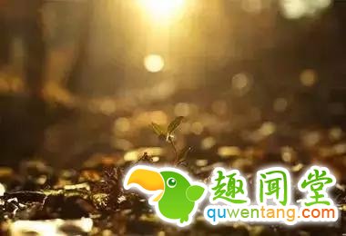 谁曾路过你的心?写的真好!