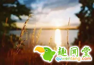 谁曾路过你的心?写的真好!