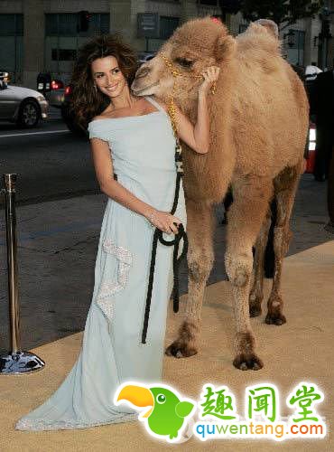 亲吻骆驼被迫离婚沙特女子此举动婆婆大怒