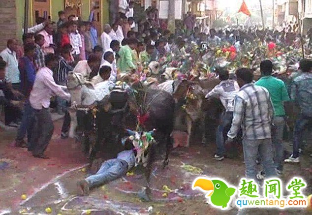 　　据英国《每日邮报》1月21日报道，日前，印度中央邦乌贾因（Ujjain）市迎来了“断食日”（Ekadeshi），数十名男子躺在街道上，接受“群牛踩踏”仪式，希望神明能回应他们的祈祷请求，给他们带来好运。