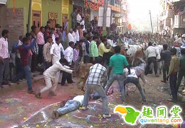 　　据英国《每日邮报》1月21日报道，日前，印度中央邦乌贾因（Ujjain）市迎来了“断食日”（Ekadeshi），数十名男子躺在街道上，接受“群牛踩踏”仪式，希望神明能回应他们的祈祷请求，给他们带来好运。