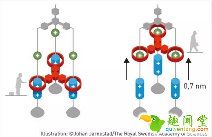 这三名科学家竟做出了全世界最小的机器…