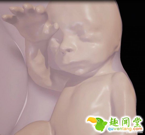 http://static.cnbetacdn.com/article/2016/1122/6ff505b2f58ffc6.jpg