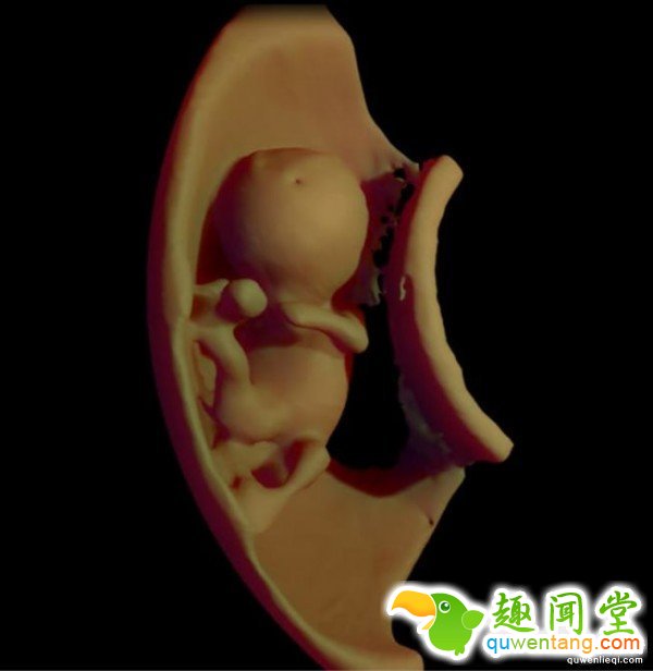 http://static.cnbetacdn.com/article/2016/1122/b4ddcd134ae65e7.jpg