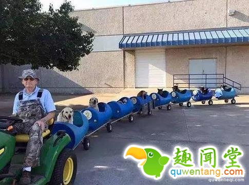 这20张照片, 证明生活还是很美好的!