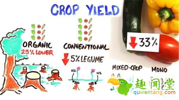 这就是为什么“只吃有机蔬果”可能会摧毁地球环境跟你的健康--趣味说