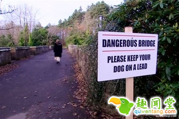 已经有600隻狗狗在这座桥上自杀...科学家终于找到可怕塬因了!