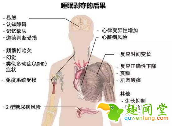 11天不睡觉啥感觉？英国“怪蜀黍”告诉你