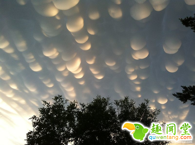 8. 乳状云 (Mammatus clouds)是泡泡形状的云朵、沸腾的天空，它们的出现通常预告将会有极端的天气。这个云体可以往各个方向延伸数百公里。虽然它们看起来像是液体，但通常是由冰组成。有趣的是，乳状云的英文「Mammatus」是来自拉丁文的意思是「乳房」，你就可以想像整个天空都是...乳房。