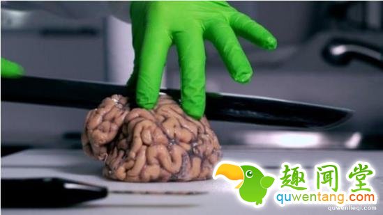 在英国,不少人愿意死后把大脑存入特殊的