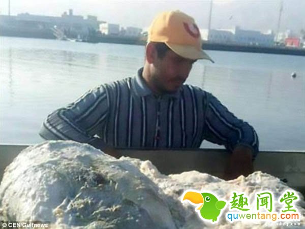 渔夫海中意外打捞白色“垃圾”:仔细一看乐疯了