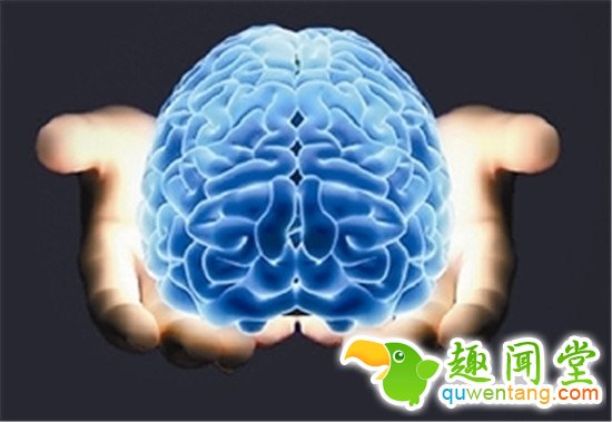 科学家计划到2035年，破解人脑之谜，造出“人造大脑”。