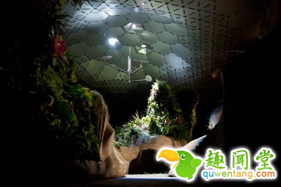 纽约用科技引阳光入地底，地下花园不再是梦