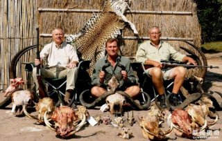 男子南非猎象 反被中枪母象压死