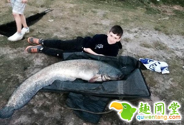 快成精了：10岁男童湖中垂钓 巨型大鱼上钩