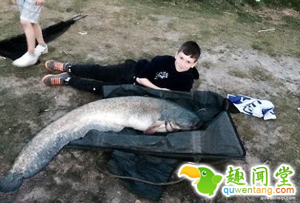 快成精了:10岁男童湖中垂钓 巨型大鱼上钩