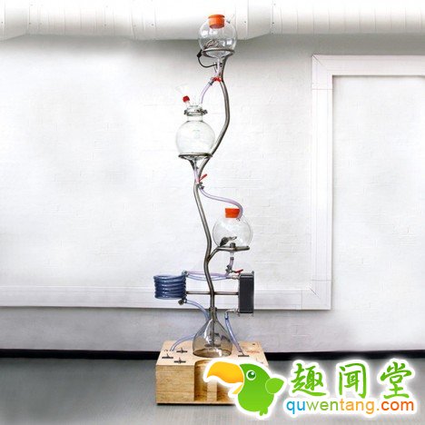 好顶赞:可以看到啤酒酿制过程的“啤酒树”
