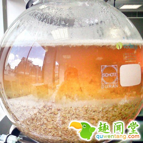 好顶赞:可以看到啤酒酿制过程的“啤酒树”