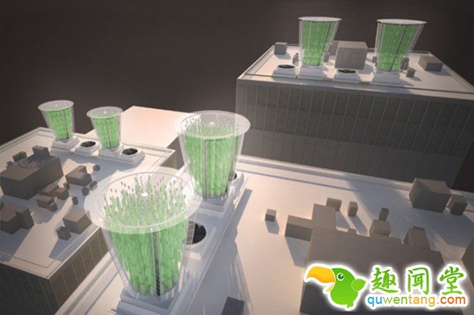 “会呼吸”的叶子