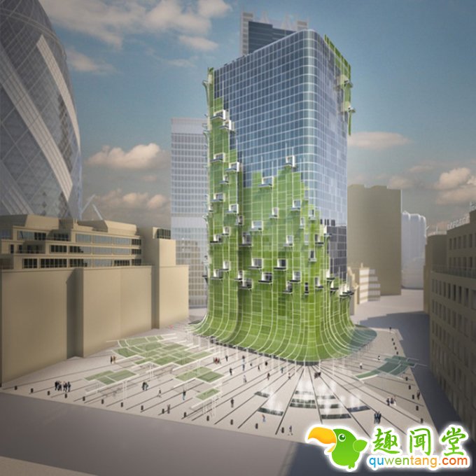 “会呼吸”的叶子