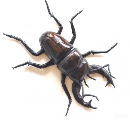 巧克力被做成这样，你还敢吃吗？