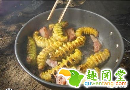 7种看着恶心但却大补的小吃,吃过3个以上才敢叫食神