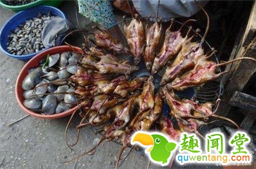7种看着恶心但却大补的小吃,吃过3个以上才敢叫食神