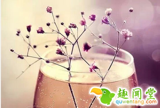 人,其实不需要太多的东西,只要健康的活着,真诚的爱着,也不失为一种富有 - 每天十句话,经典语录,人生感悟,情感语录,心灵鸡汤