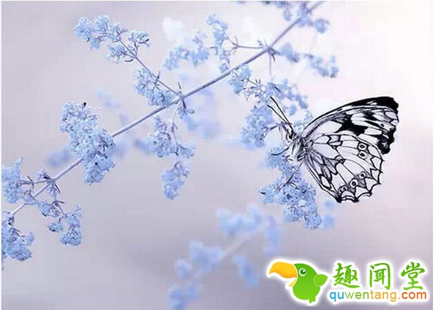 你永远不知道自己有多坚强,直到有一天你除了坚强再无选择 - 每天十句话,经典语录,人生感悟,情感语录,心灵鸡汤