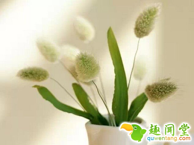 是你的,就是你的。不是你的,不必强求。努力了,珍惜了,问心无愧。其他的,交给命运 - 每天十句话,经典语录,人生感悟,情感语录,心灵鸡汤