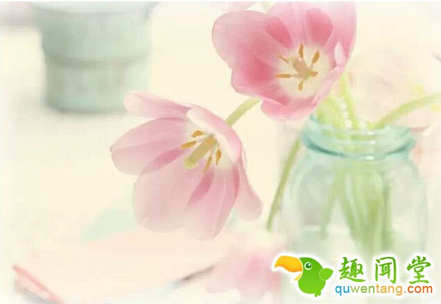 撑不住的时候,可以对自己说声:“我好累”,但永远不要在心里承认说:“我不行” - 每天十句话,经典语录,人生感悟,情感语录,心灵鸡汤