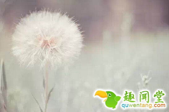生命中有很多事情足以把你打倒,但真正打倒你的是自己的心态 - 每天十句话,经典语录,人生感悟,情感语录,心灵鸡汤