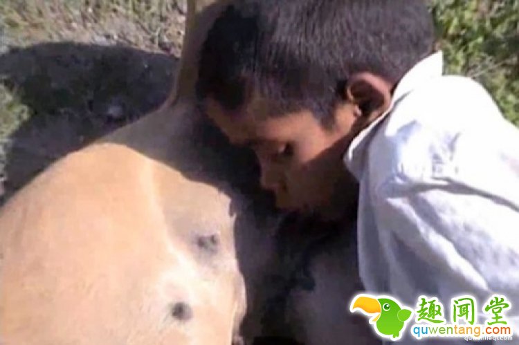 10岁印度男孩对狗奶上瘾，流浪狗见他就跑