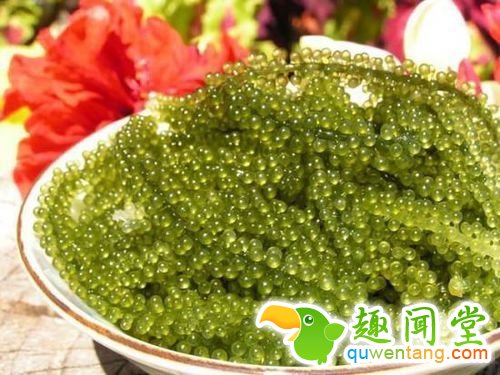 极度黑暗料理!日本冲绳最奇特的美食