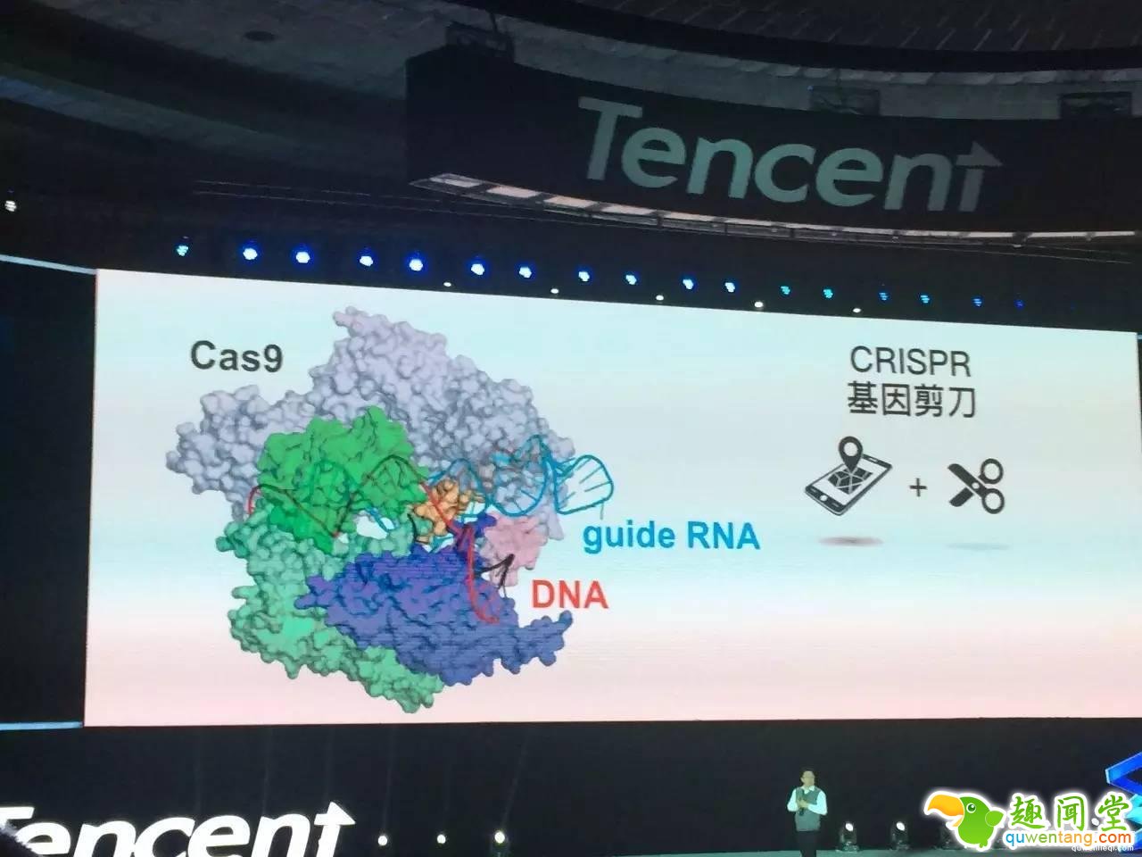 返老还童将成真,斯坦福教授解说