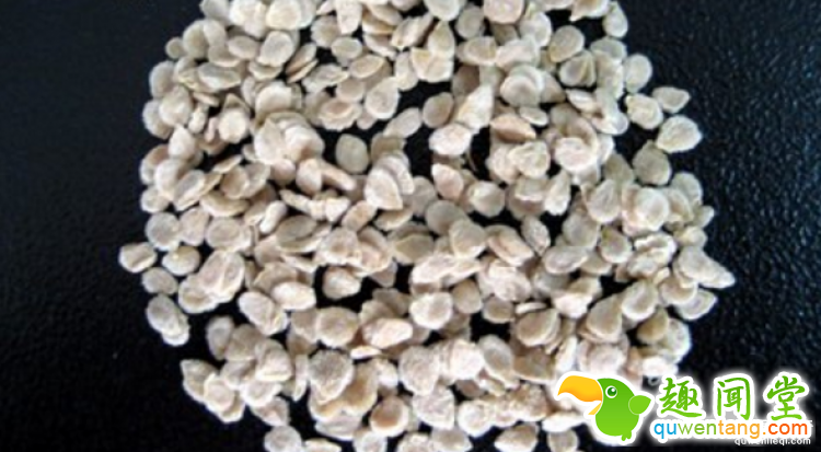 西红柿到底是蔬菜还是水果呢?
