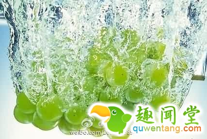 一些食物的保存绝招---不收藏可惜！ - 张亿知足常乐！ - 张亿 知足常乐！！！