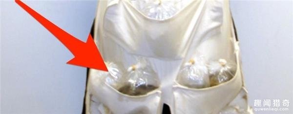 澳洲一女子过安检时下体传来「水的响声」安检员当场掀开她的裙子,竟看到「不该看到的东西」
