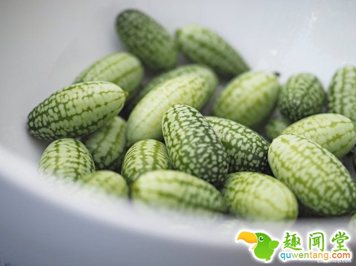 这就是跟葡萄大小差不多的「拇指西瓜」,但切开来「看到裡面」你才会知道真的对它误会太深了!