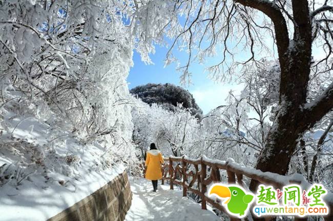 游客穿行在雪景中。肖洪波 摄