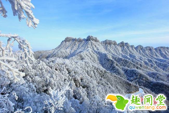 强降雪让光雾山银装素裹，分外妖娆。程永红 摄