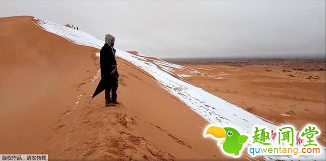 连续第二年！撒哈拉沙漠北部城市再迎降雪(组图)