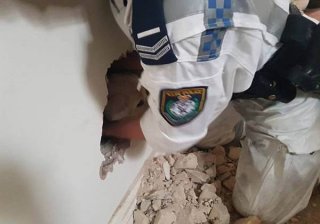 澳调皮导盲幼犬被困墙缝 暖心警察凿壁施
